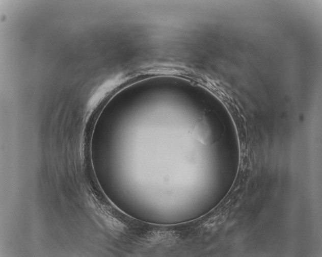 X0000086900296200704231200