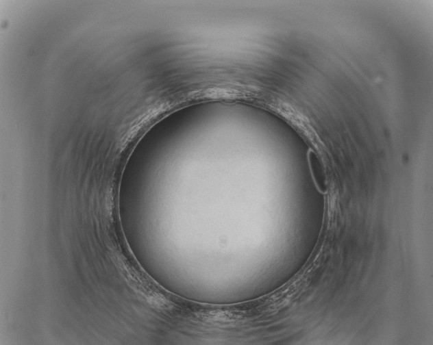 X0000086900297200704231200