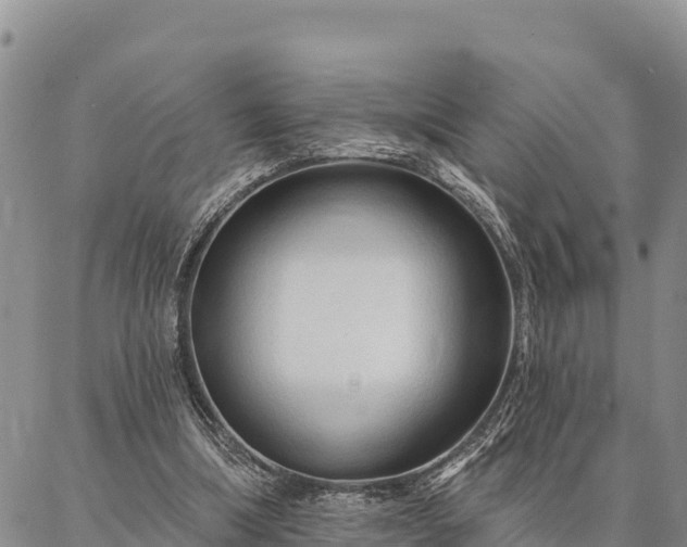 X0000086900298200704231200