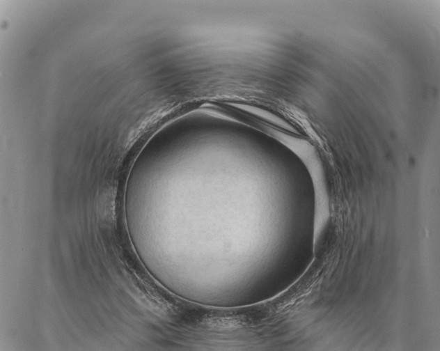 X0000086900299200704231200