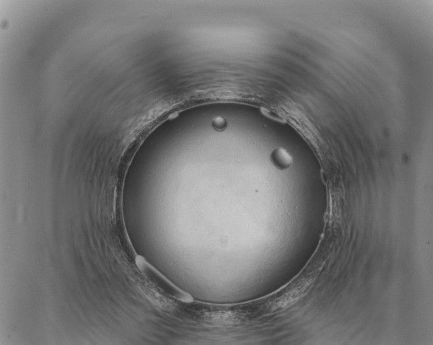 X0000086900301200704231200