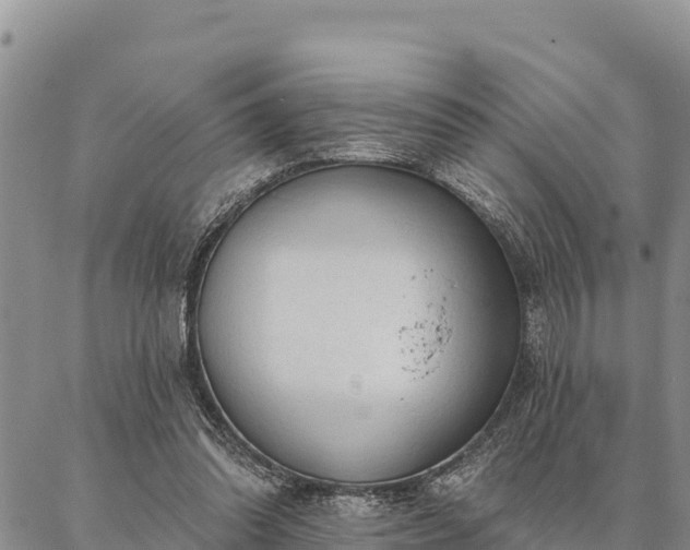 X0000086900302200704231200