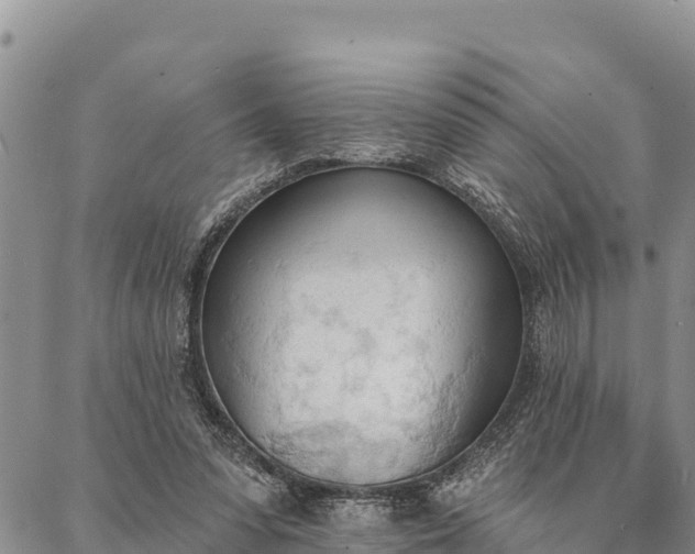 X0000086900303200704231200