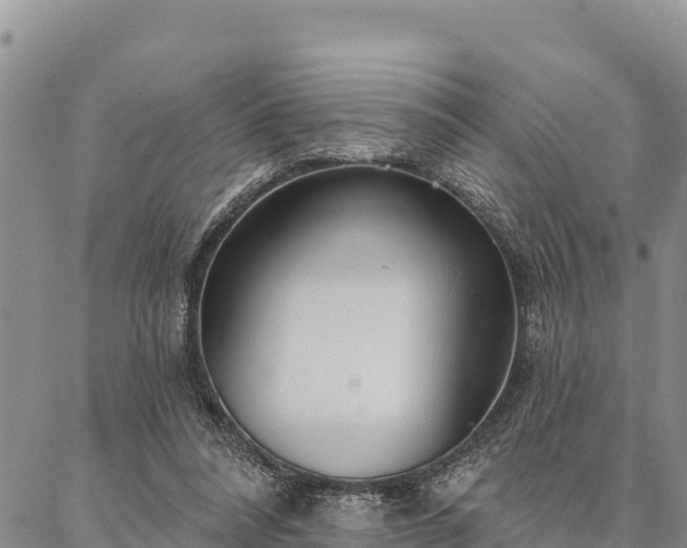 X0000086900304200704231200