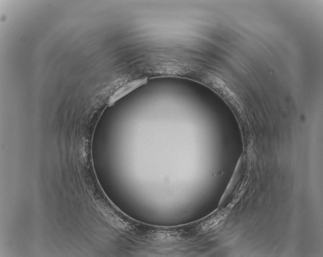 X0000086900305200704231200