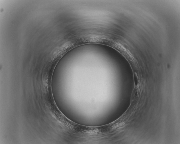 X0000086900306200704231200