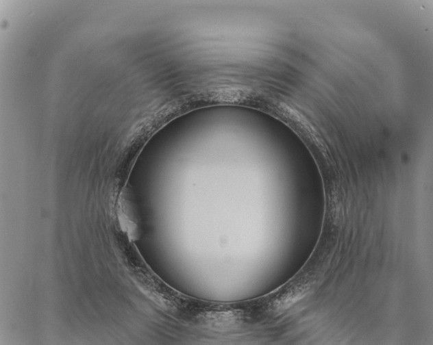 X0000086900307200704231200