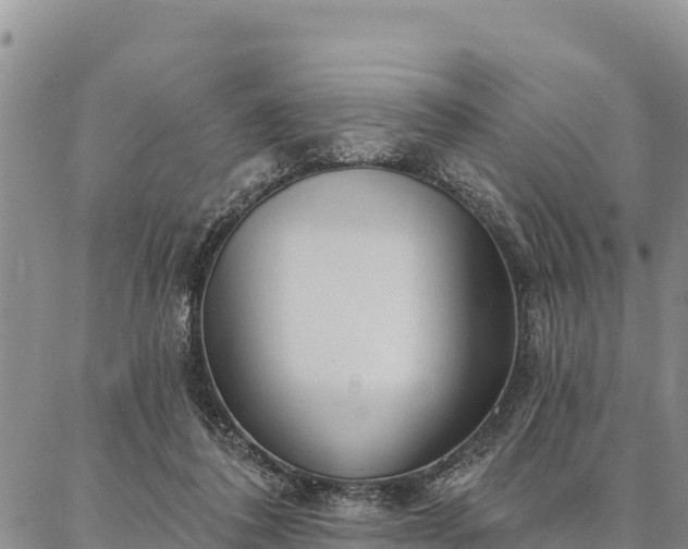 X0000086900308200704231200