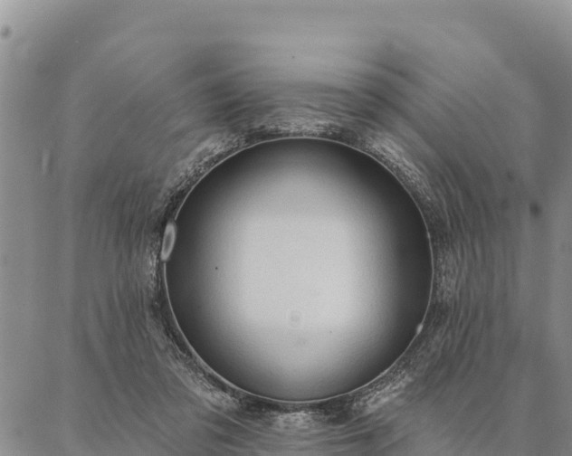 X0000086900309200704231200