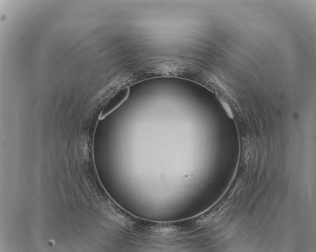 X0000086900313200704231200