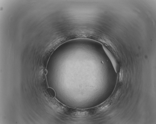 X0000086900314200704231200