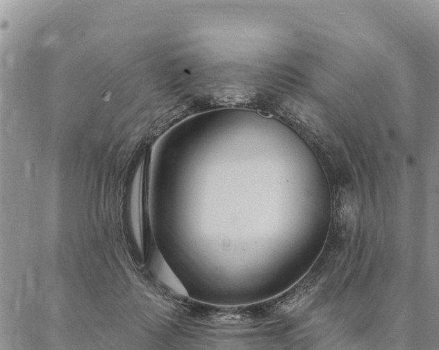 X0000086900315200704231200