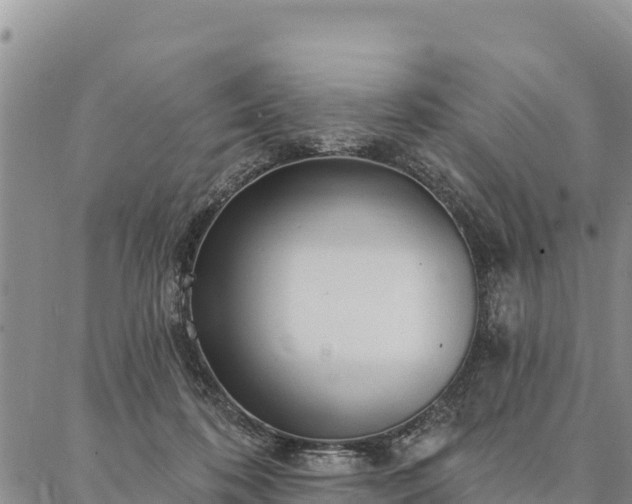 X0000086900316200704231200