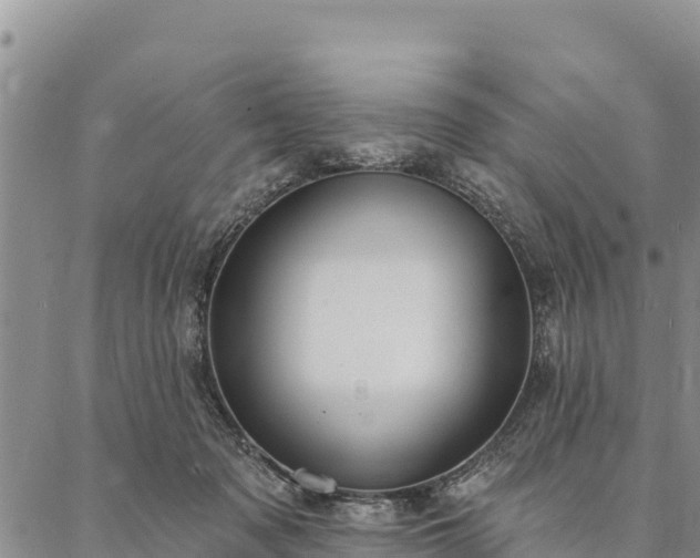 X0000086900317200704231200