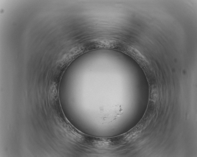 X0000086900318200704231200