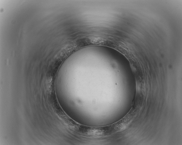 X0000086900319200704231200