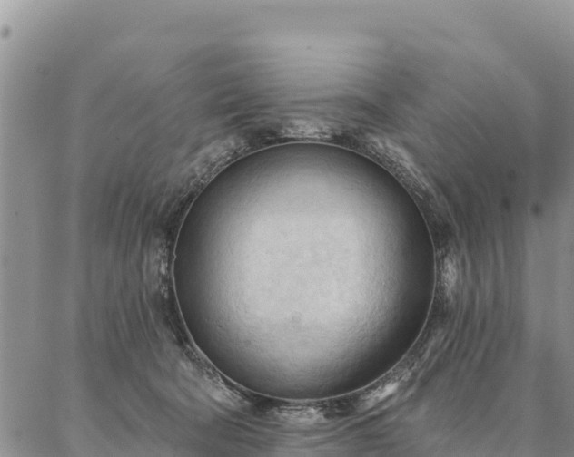 X0000086900322200704231200