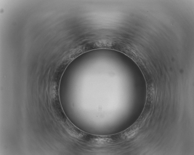 X0000086900323200704231159