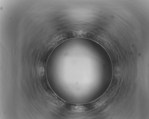 X0000086900324200704231159