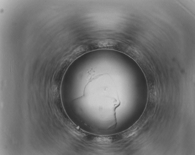 X0000086900327200704231159