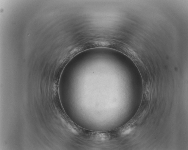 X0000086900330200704231159