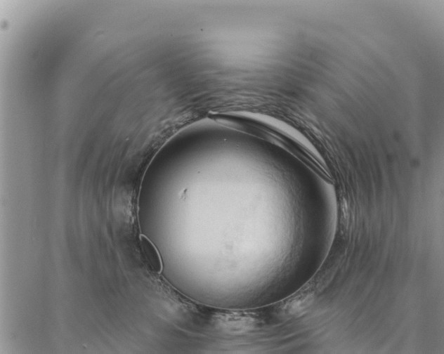 X0000086900331200704231159