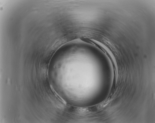 X0000086900333200704231159