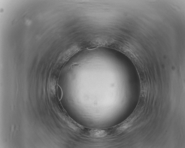 X0000086900334200704231159