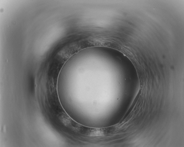 X0000086900335200704231159