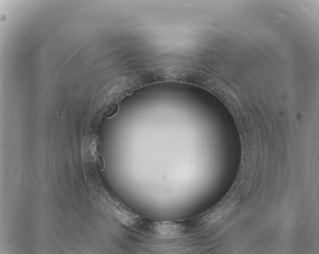 X0000086900336200704231159