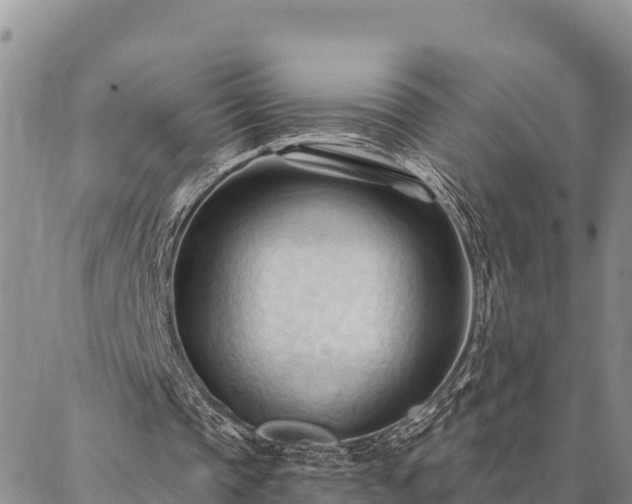 X0000086900337200704231159