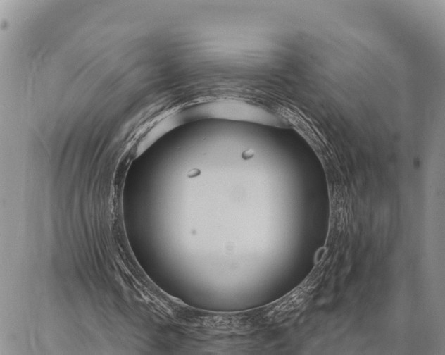 X0000086900338200704231159