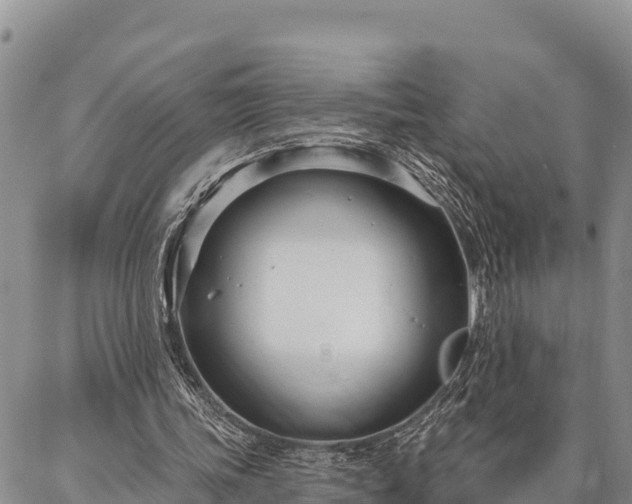 X0000086900339200704231159