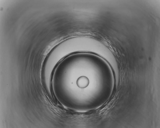 X0000086900340200704231159