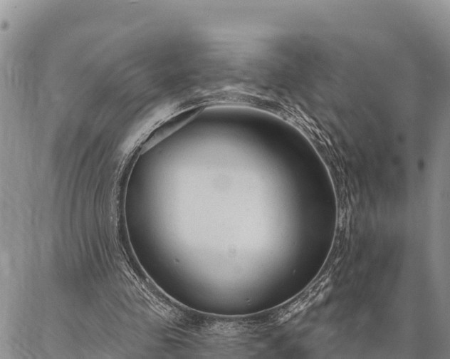 X0000086900341200704231159