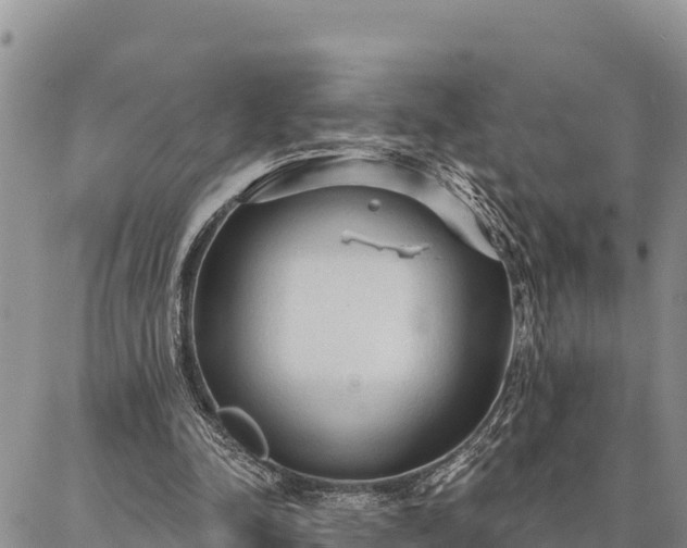 X0000086900342200704231159