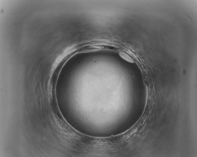 X0000086900343200704231159