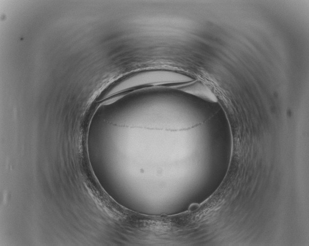 X0000086900347200704231159