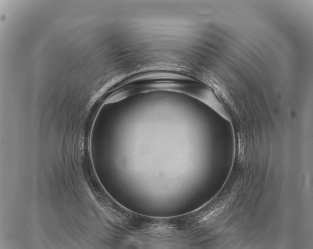 X0000086900348200704231159