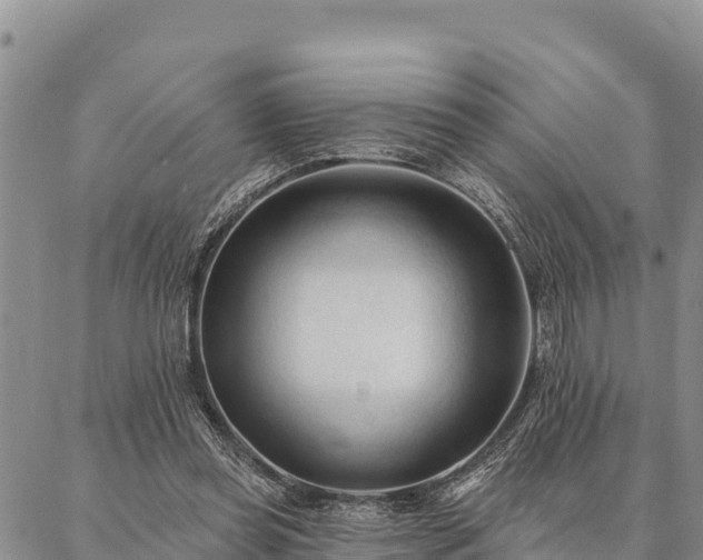 X0000086900349200704231159