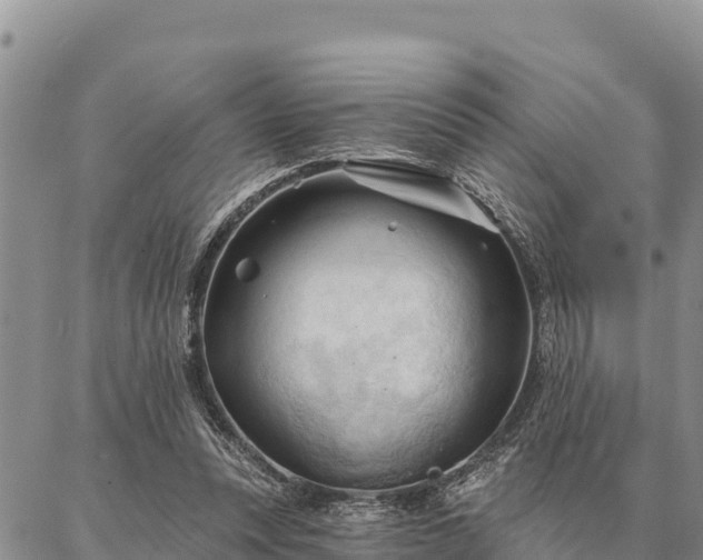 X0000086900351200704231159