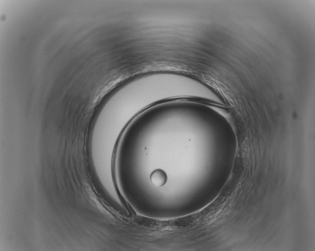 X0000086900352200704231159