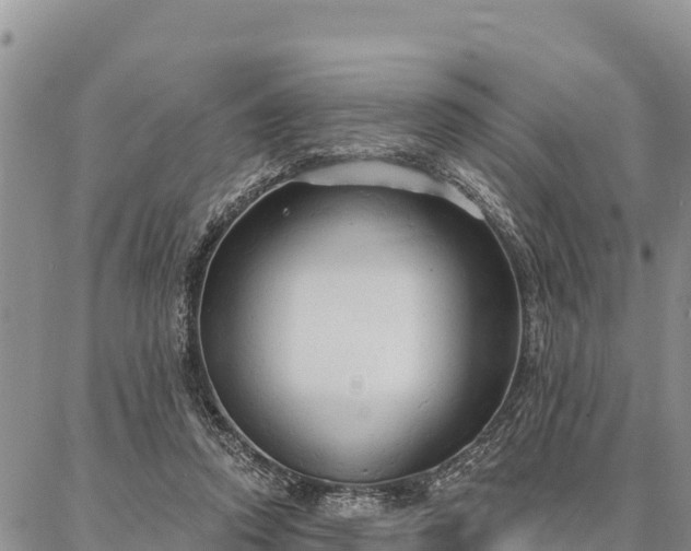 X0000086900354200704231159