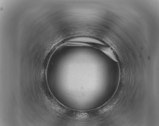 X0000086900355200704231159