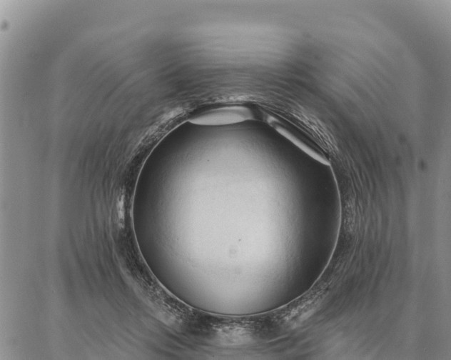 X0000086900358200704231159