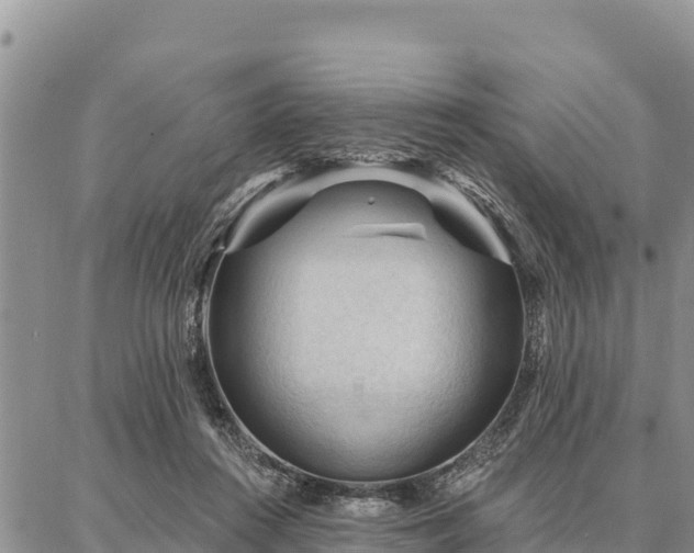 X0000086900360200704231159