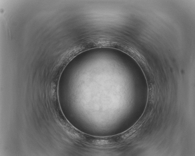 X0000086900361200704231159