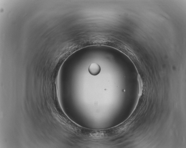 X0000086900362200704231159