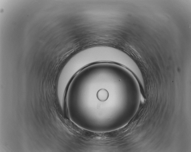 X0000086900364200704231159