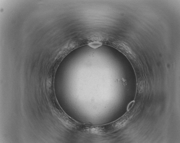 X0000086900365200704231159